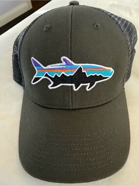Patagonia Fitz Roy Trout Trucker Hat Green and Grey Hat Like new condition